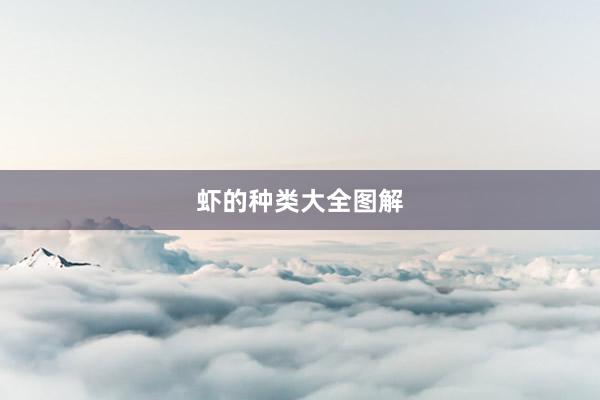 虾的种类大全图解