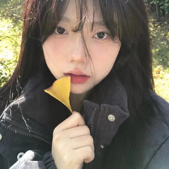 山花依旧笑春风