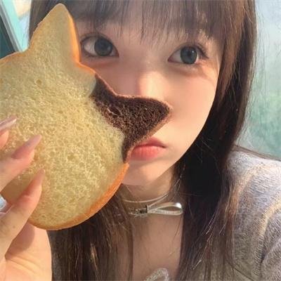 芝加哥警署第四季