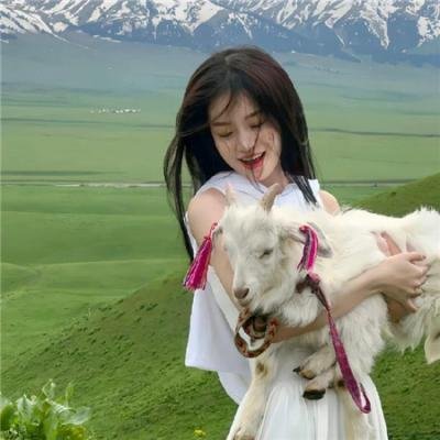 来处是归途